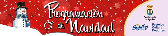 STAR BANNER - AYUNTAMIENTO