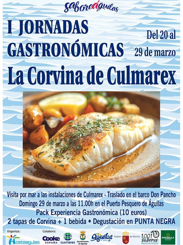 GENERIC BANNER -NOTICIAS - HOSTEAGUILAS