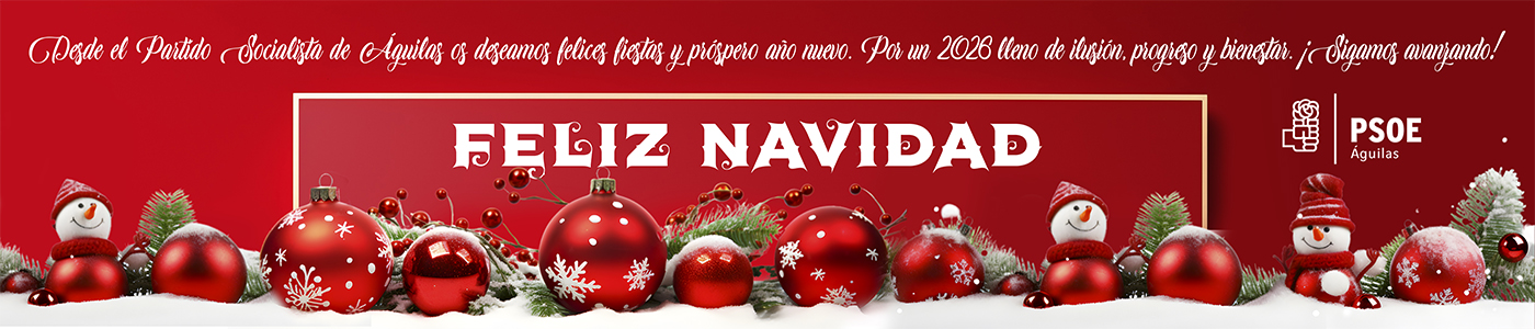 SILVER BANNER - PSOE