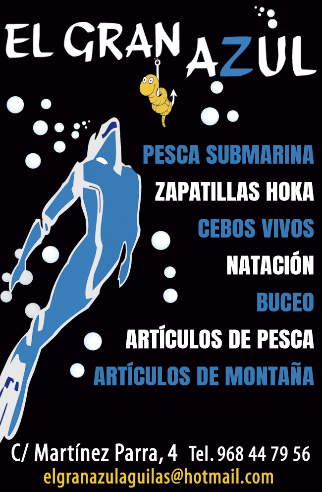 GENERIC BANNER - CARTELERA DE CINE - EL GRAN AZUL