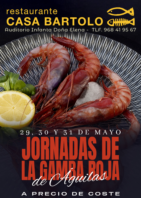 GENERIC BANNER - VIDEONOTICIAS - CASA BARTOLO