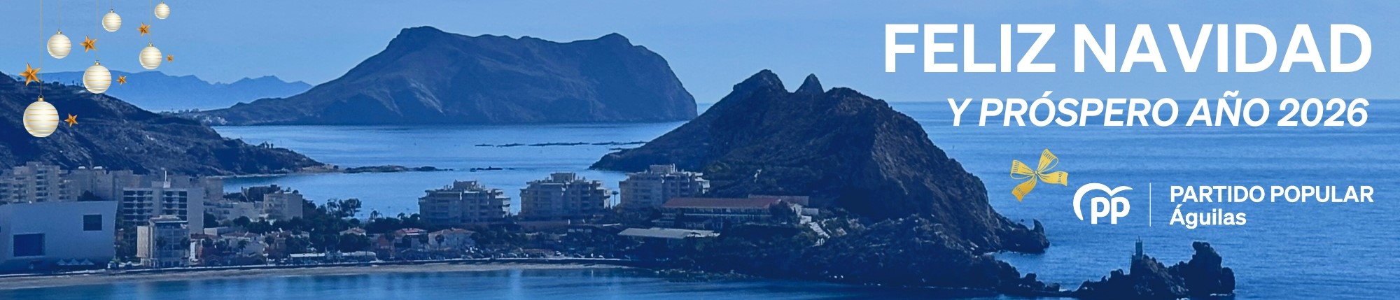 SILVER BANNER - PP - NAVIDAD