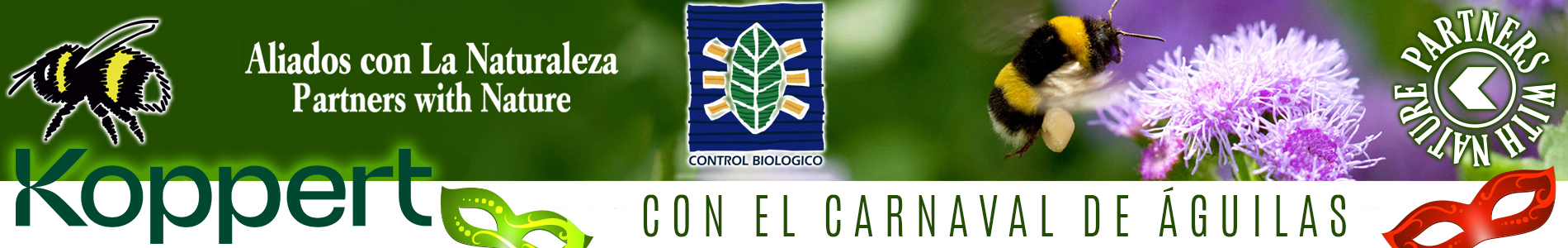 PORTADA PIE - koppert