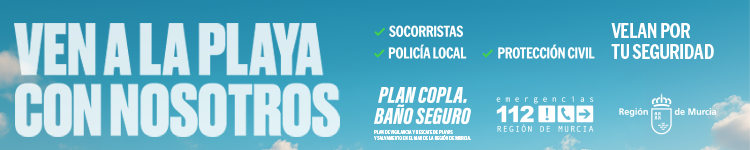 SILVER BANNER - CARM - PLAN COPLA BAÑO SEGURO