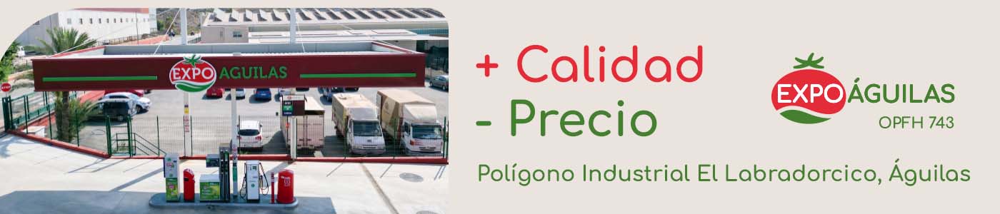 SILVER BANNER - EXPOAGUILAS