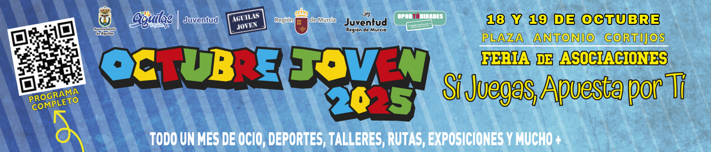 SILVER BANNER - AYUNTAMIENTO OCTUBRE JOVEN
