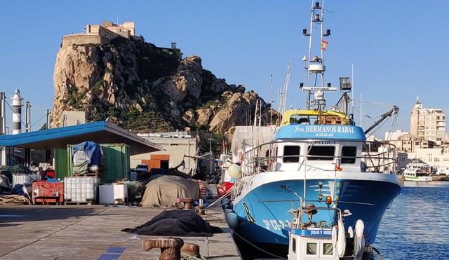 Más de 300.000 euros de ayudas por la paralización temporal de la pesca de cerco y palangre en el Mediterráneo