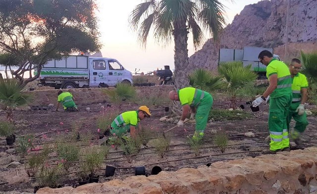  El Ayuntamiento de Águilas transforma la imagen del Mirador de Cocedores con más de 600 plantas