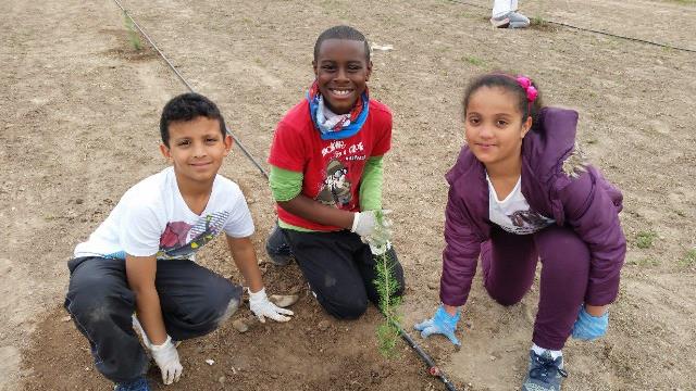 Los alumnos de Ecoescuelas Litorales celebran el Día Mundial de la Forestación en Águilas