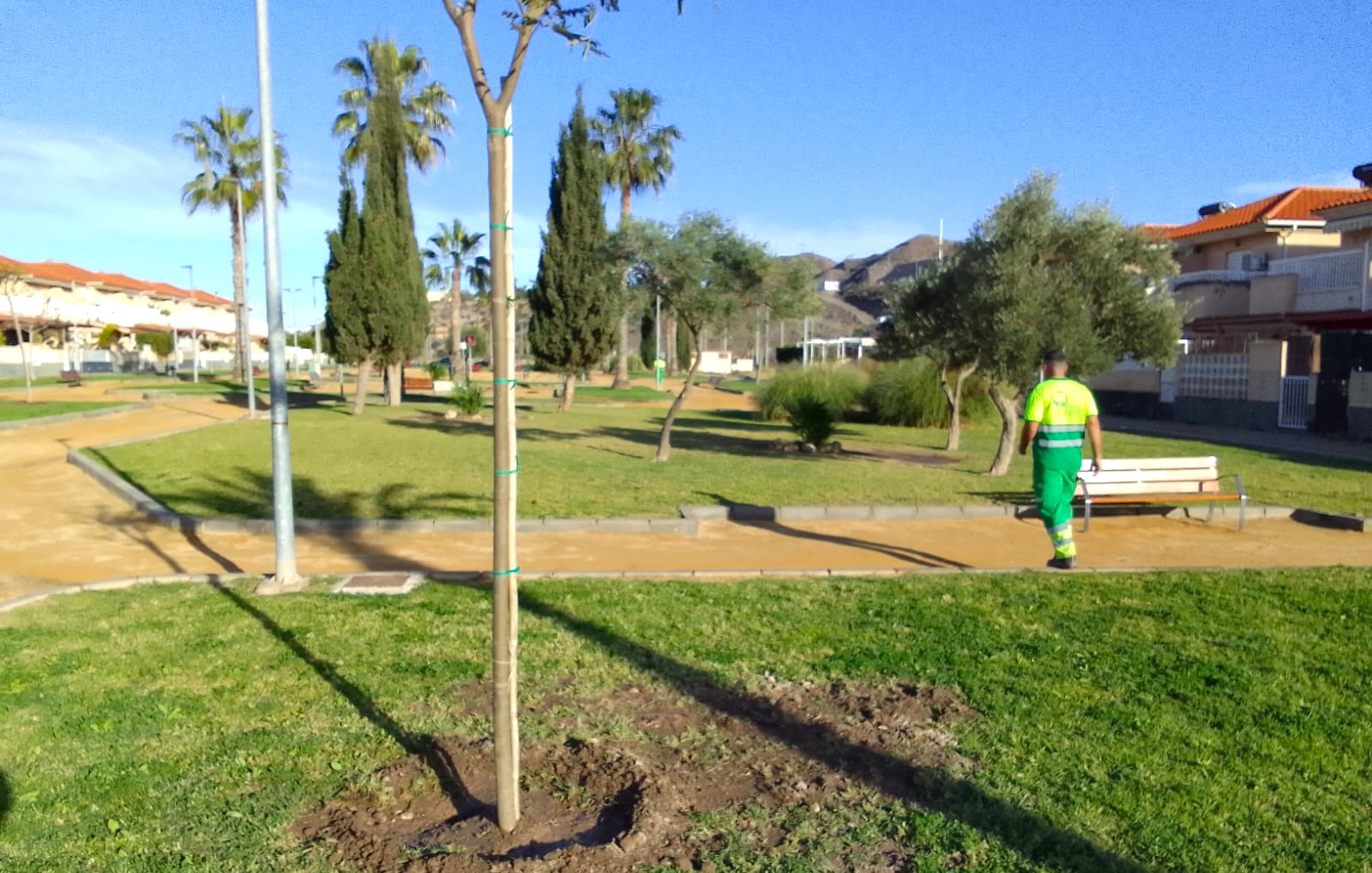 La Concejalía de Zonas Verdes lleva a cabo la plantación de 25 árboles en el residencial Los Jardines de Águilas