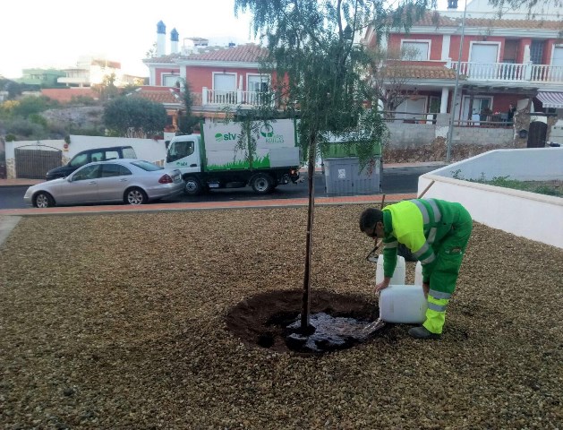 El Ayuntamiento de Águilas lleva a cabo la plantación de arbolado en el residencial Los Jardines y en la pedanía de Calabardina.