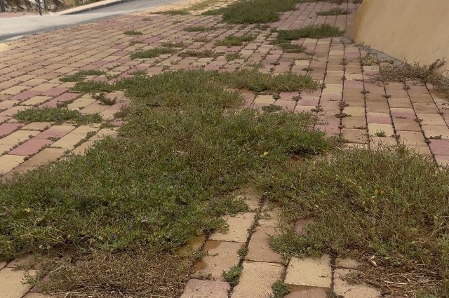 El PP propone crear un plan integral para recuperar y mantener los cabezos de Águilas