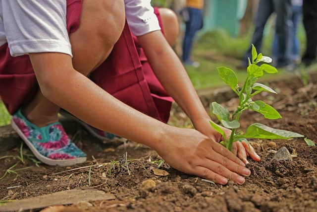 Águilas celebra este lunes el Día Mundial del Medio Ambiente