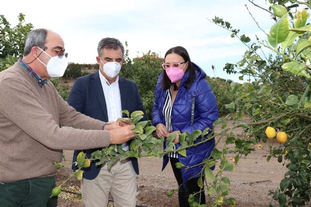Vázquez pide el refuerzo de fronteras para impedir la entrada de cítricos que supongan una amenaza para la seguridad alimentaria  