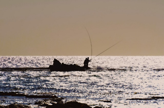 La iniciativa ‘Pescados con Arte’ llega el 24 de marzo a Águilas 