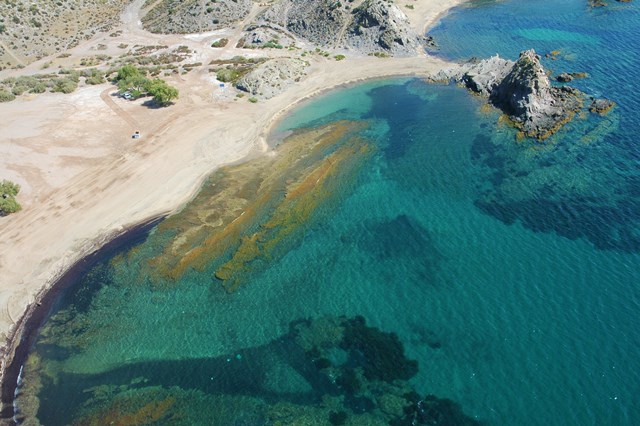 Salud ofrece consejos para prevenir accidentes en playas y piscinas