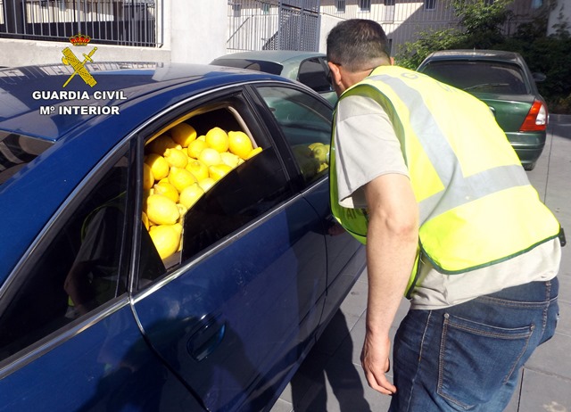 La Guardia Civil desmantela un grupo delictivo dedicado a la sustracción de limones en Águilas y en el resto del Valle del Guadalentín 