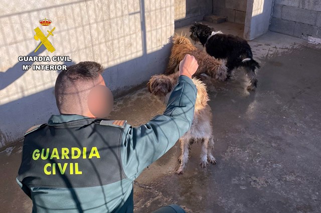 La Guardia Civil investiga a dos vecinos de Águilas por maltrato animal