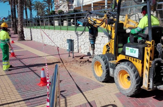 Comienza la campaña de destoconado en Águilas para recuperar espacios perdidos en las aceras y jardines por troncos viejos