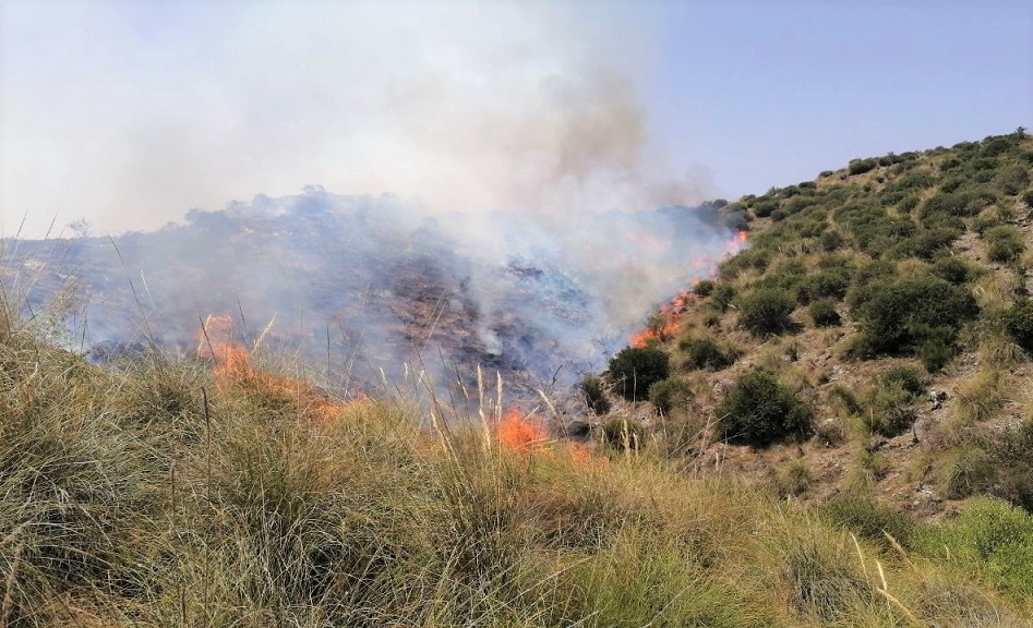Efectivos del Plan Infomur dan por controlado el incendio forestal de Los Arejos en Águilas