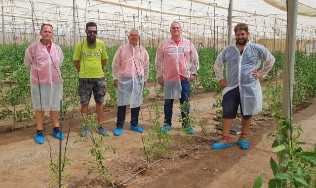 El edil de agricultura y miembros de Asaja visitan cultivos de tomates afectados por las altas temperaturas en Águilas