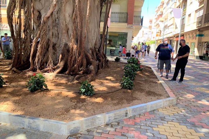  Los centenarios ficus de la Glorieta de Águilas cuentan con parterres más amplios