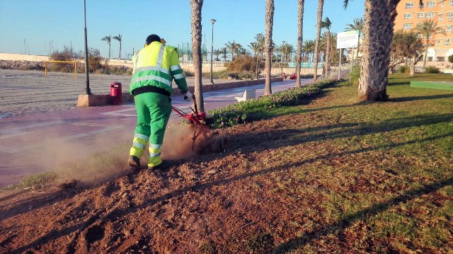 Cerca de un millón de semillas resembrarán el césped en Águilas