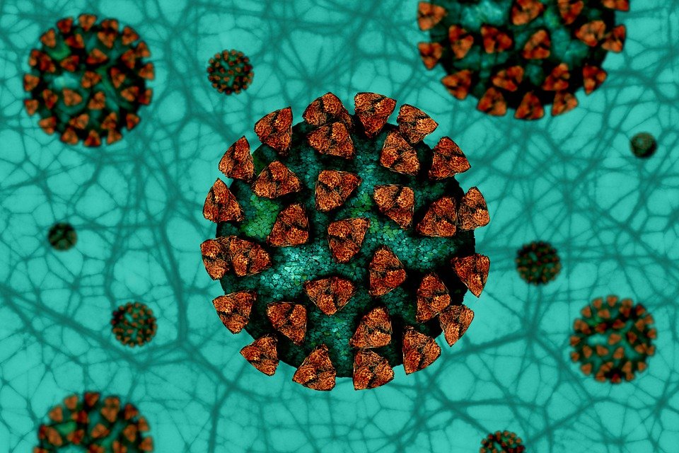 Águilas suma 49 nuevos contagios hoy domingo y cuenta con 753 casos confirmados en los últimos 7 días