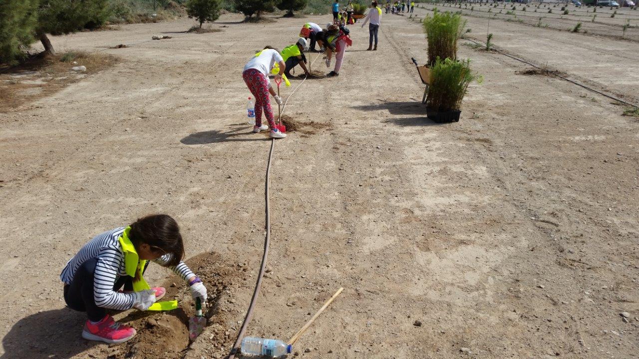 Los alumnos del programa Ecoescuelas Litorales contribuyen a crear un nuevo espacio verde en Águilas 