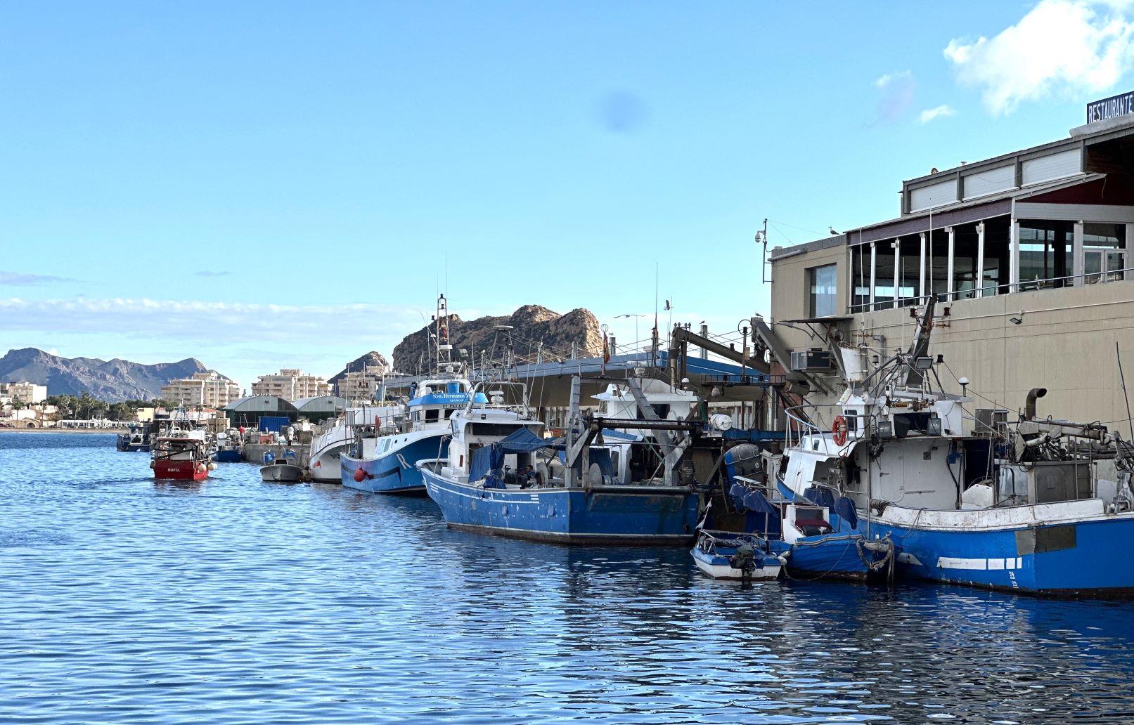 La Cofradía de Pescadores de Águilas analiza, junto al Gobierno Regional, los desafíos del sector ante las nuevas exigencias para 2025