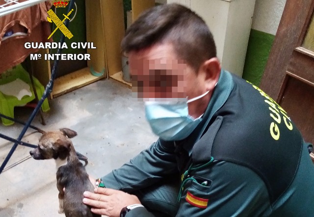 La Guardia Civil rescata a un perro desnutrido de un domicilio de Águilas