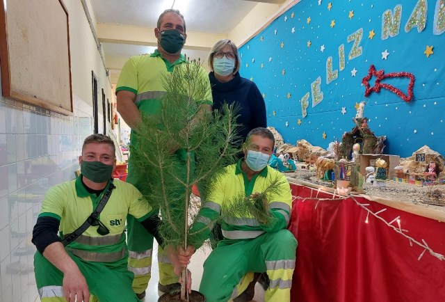 El Ayuntamiento realiza la tradicional entrega de pinos carrascos a los centros educativos de Águilas
