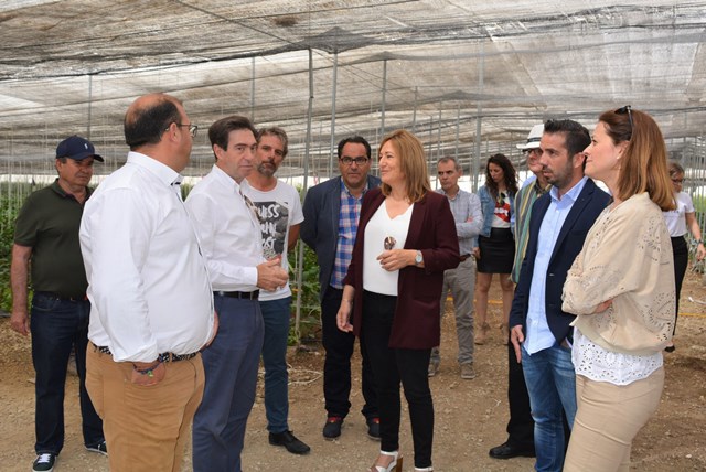La alcaldesa de Águilas visita la empresa almeriense de cultivo ecológico ‘Campojoyma’ que se asentará próximamente en el municipio