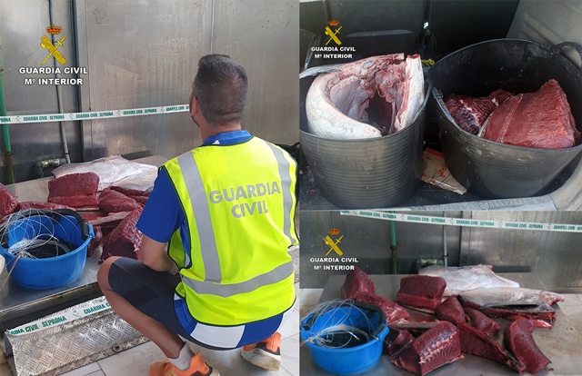 La Guardia Civil sorprende a dos furtivos con un atún rojo de más de 70 kilos en el puerto pesquero de Águilas