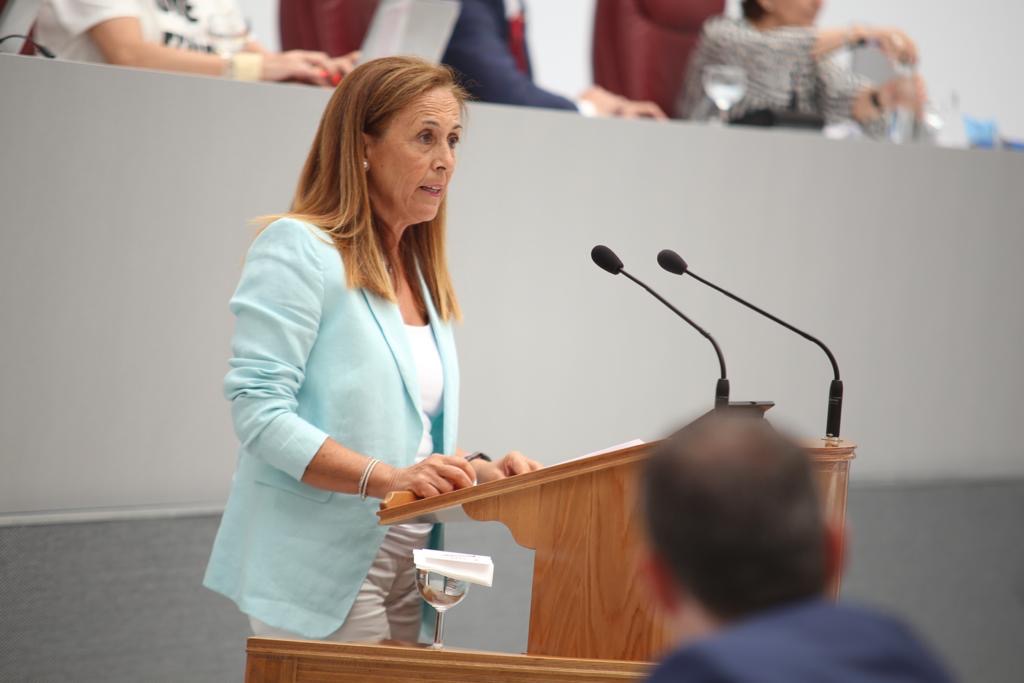 La Asamblea demanda a Sánchez ‘un verdadero Plan Nacional de Turismo con rebaja del IVA y prórroga de los ERTE hasta final de año’