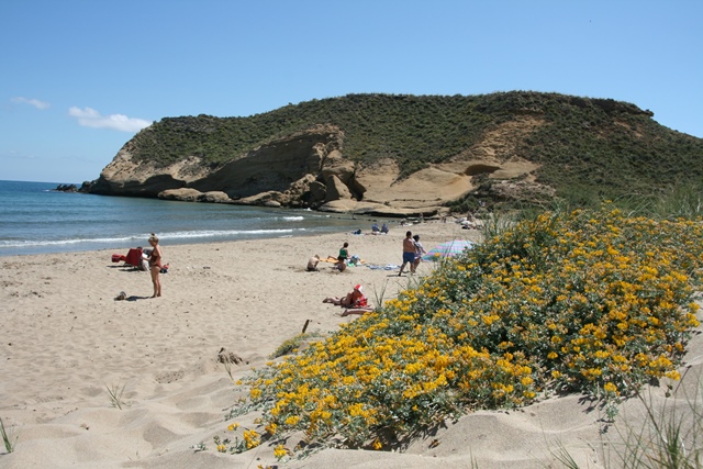 El PP lamenta que la alcaldesa pierda la oportunidad de promocionar las playas de Águilas 