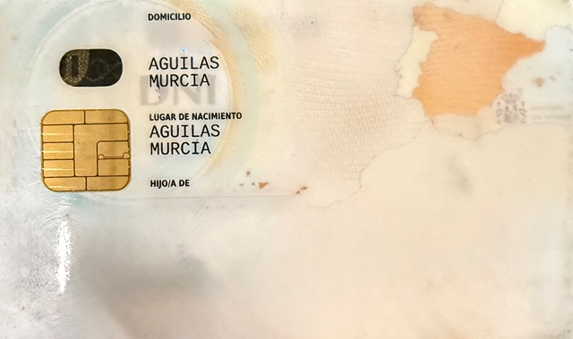 El PP pide al Gobierno de España que las familias aguileñas puedan elegir Águilas como lugar de nacimiento de sus hijos
