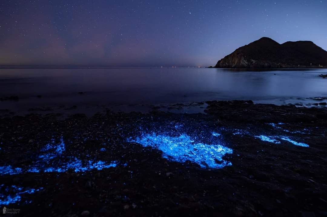 El fotógrafo aguileño Mario Navarro capta unas impresionantes imágenes de un fenómeno llamado bioluminiscencia
