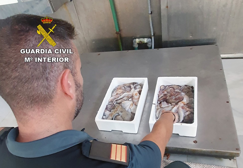 El SEPRONA de la Guardia Civil decomisa 15 ejemplares de pulpo de talla inferior a la permitida en Águilas