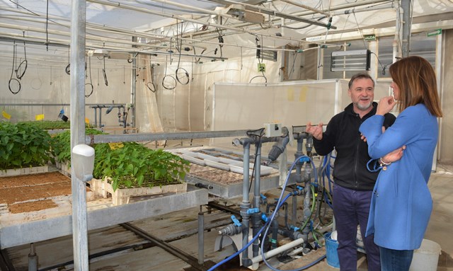 La alcaldesa de Águilas asegura en su visita a Koppert que la agricultura aguileña está a la vanguardia del control biológico de plagas