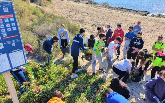 El alumnado del IES Europa de Águilas participa en una jornada de retirada de la especie exótica invasora ‘uña de gato’