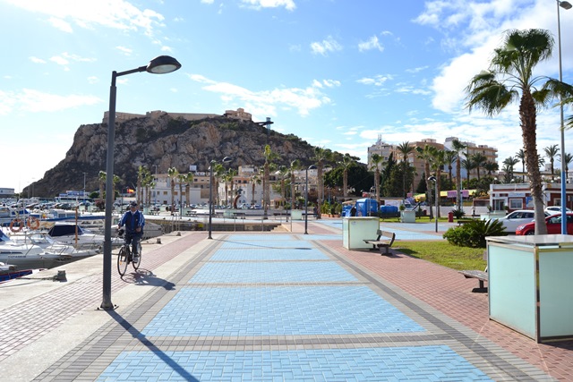 El PSOE afirma que nunca ha dado el visto bueno a la instalación de 'vallas de obra' en el Puerto Pesquero de Águilas