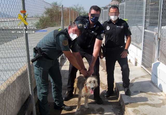 La Guardia Civil investiga a un vecino de Águilas por maltratar a su perro 