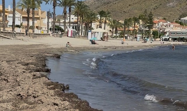 El PP reclama soluciones para la playa de Calabardina y pide al equipo de Gobierno “que abandone la confrontación”