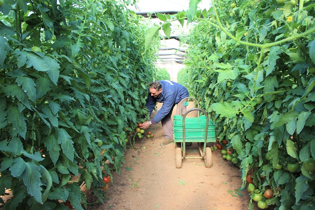 Los agricultores de Marina de Cope denuncian sentirse “acosados”