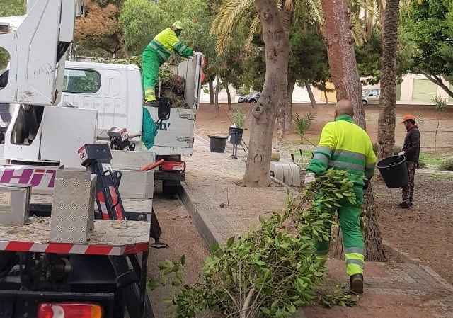 El Ayuntamiento de Águilas lleva a cabo la poda de los árboles ubicados en los espacios de recreo público