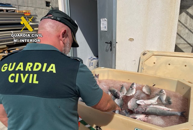 La Guardia Civil detiene a los presuntos autores de sustraer lubinas en una piscifactoría de Águilas