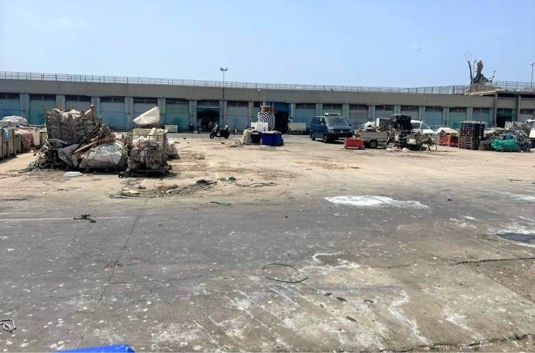 El Ayuntamiento solicita a la Dirección General de Litoral la limpieza y desinsectación del Puerto Pesquero de Águilas
