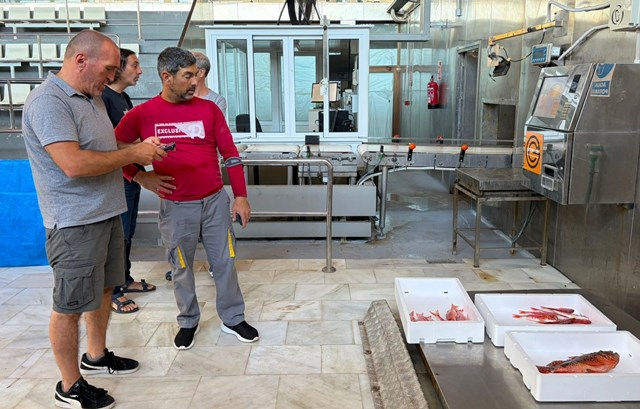 La Aplicación Lonja 2.0 inicia su actividad real en la lonja de Águilas con dos barcos y apoyo del sector local
