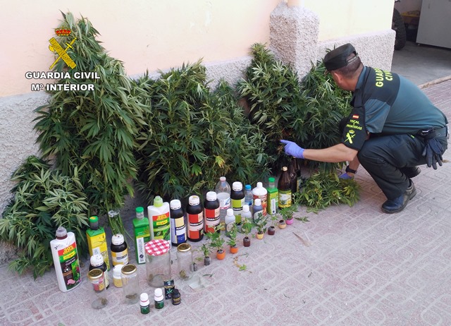 La Guardia Civil desmantela un cultivo casero de marihuana en Águilas